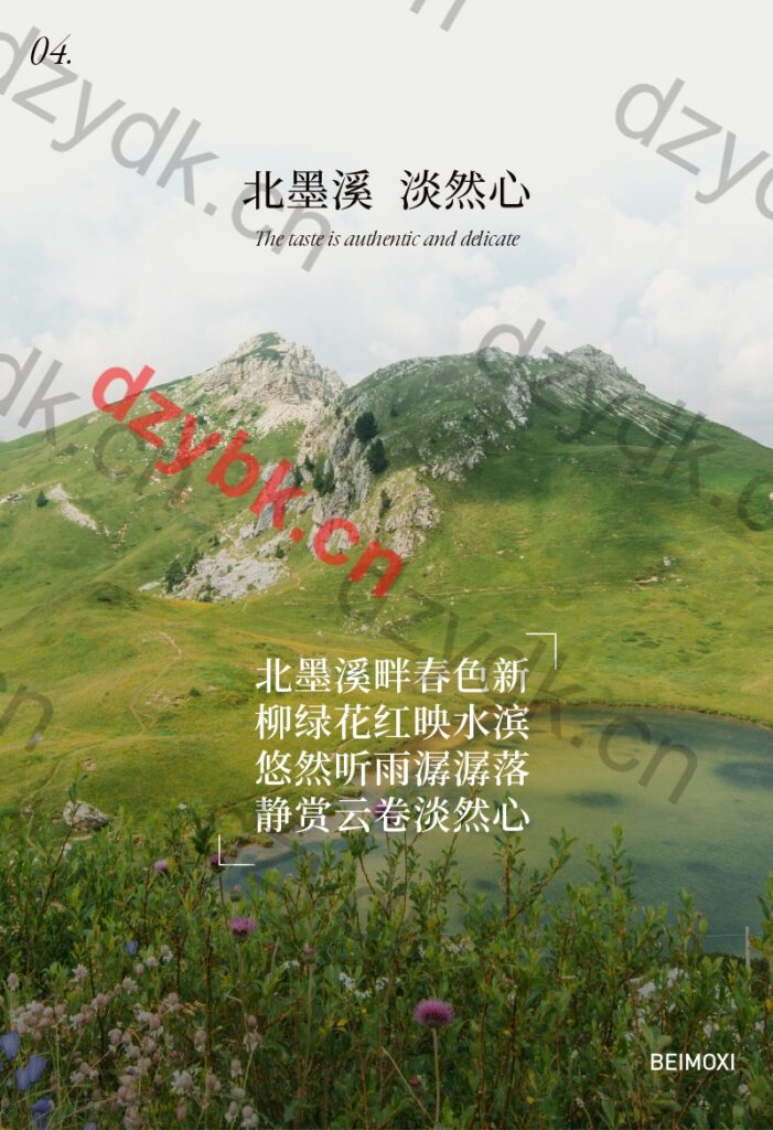 VOOPOO北墨溪国标烟弹
