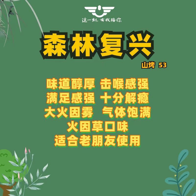 悦刻青羽森林复兴评测